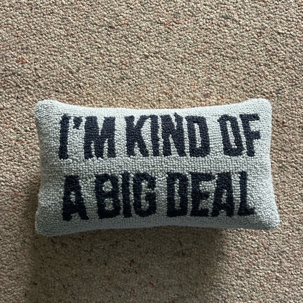 Needle point pillow